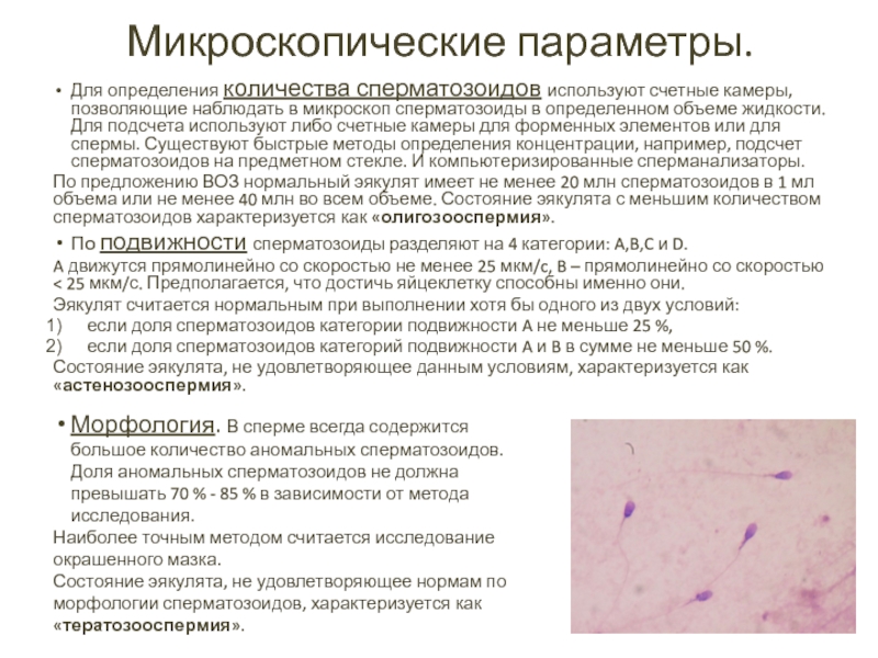 Микроскопические параметры