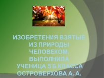 Изобретения взятые из природы человеком. Выполнила ученица 5 б Класса