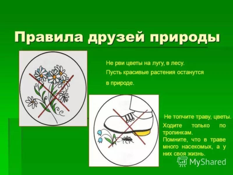 Охрана растений презентация 3 класс окружающий мир плешаков презентация и конспект