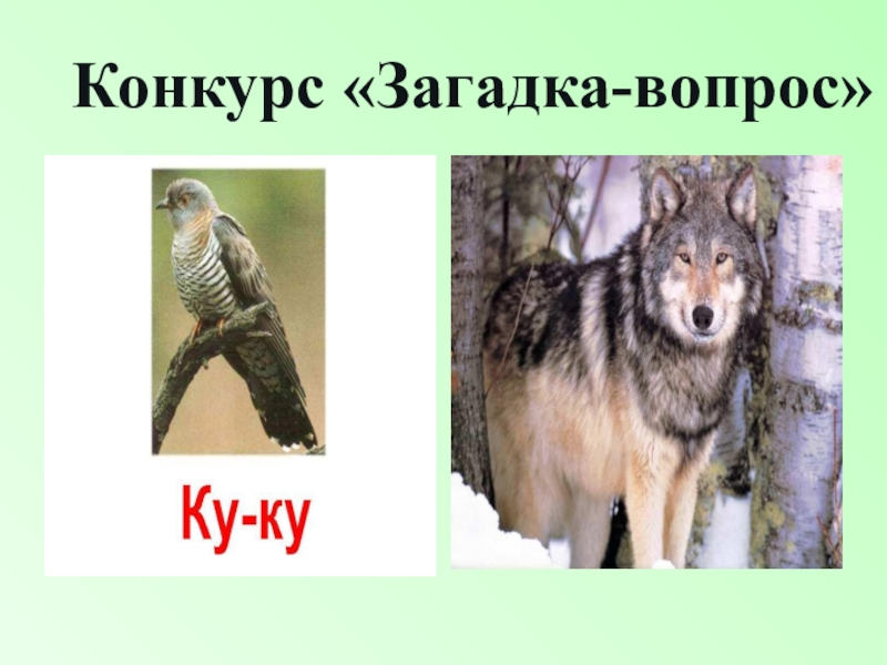 Конкурсы отгадай загадку. Конкурс загадок для начальных классов презентация. Проект на тему загадки наших фамилий.