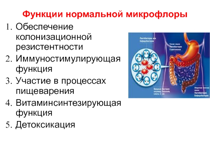 Микрофлора мочеполовой системы презентация