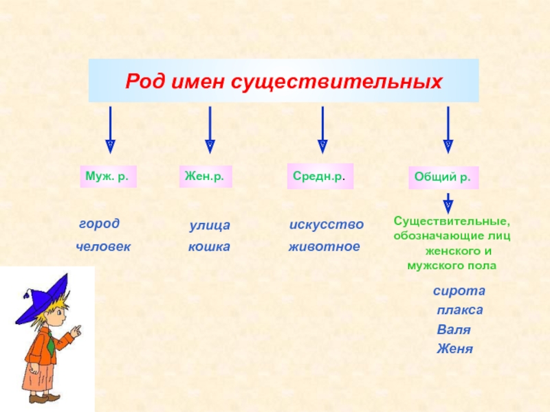 Имя существительное. Категория рода имен существительных в русском языке. Алгоритм определения рода имен существительных. Род имен. Род имени существительного кратко.