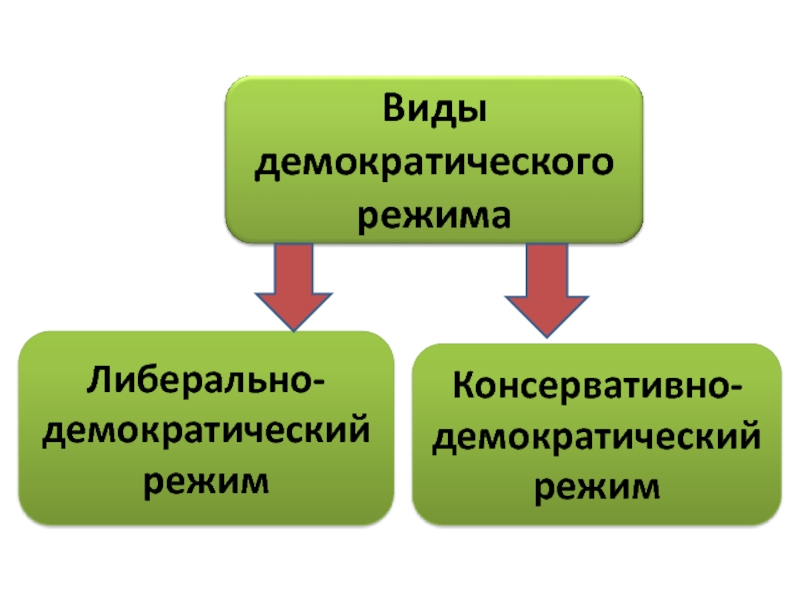 Либерально демократический режим. Разновидности демократического режима. Виды демократических режимов. Формы демократического режима. Фома демократического режима.