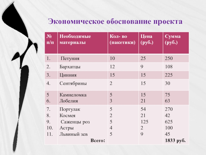 Экономические обоснования проекта