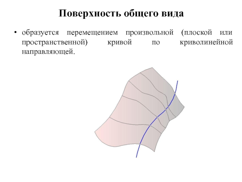 Общая поверхность