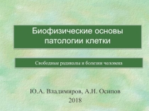 Свободные радикалы и болезни человека