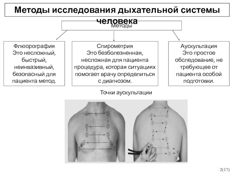 Методы обследования органов дыхания