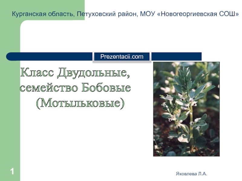 Презентация Яковлева Л.А.
1
Курганская область, Петуховский район, МОУ Новогеоргиевская