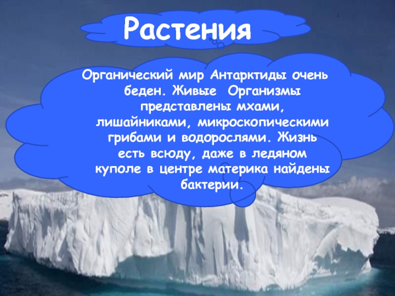 Антарктида презентация 4 класс