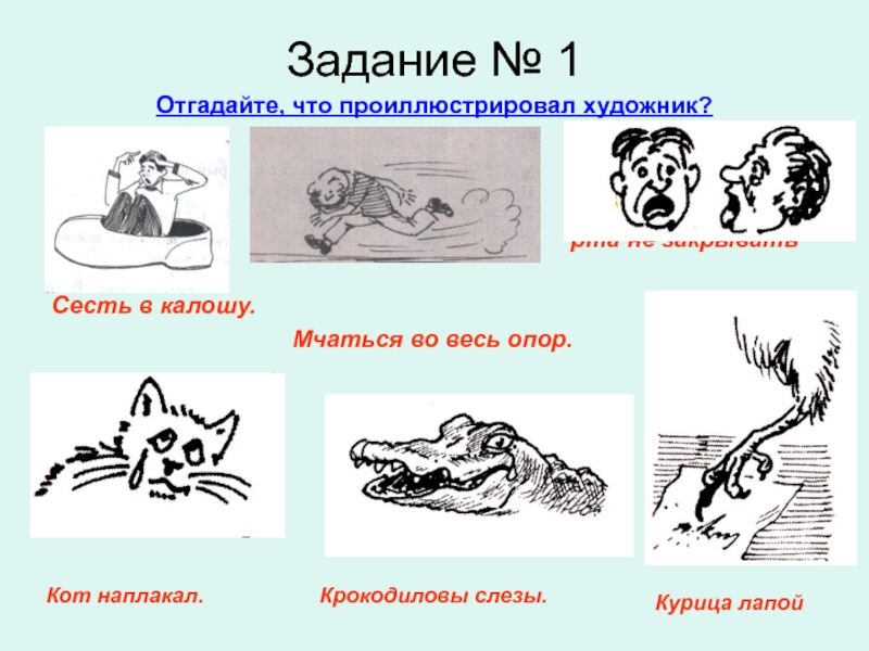 Фразеологизм наплакал. Фразеологизмы 6 класс. Какие фразеологизмы проиллюстрировал художник. Фразеологизмы 4 класс. Во весь опор фразеологизм.