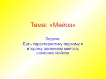 Тема: Мейоз