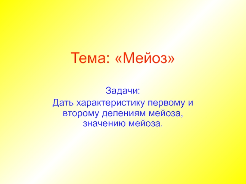 Презентация Тема: Мейоз