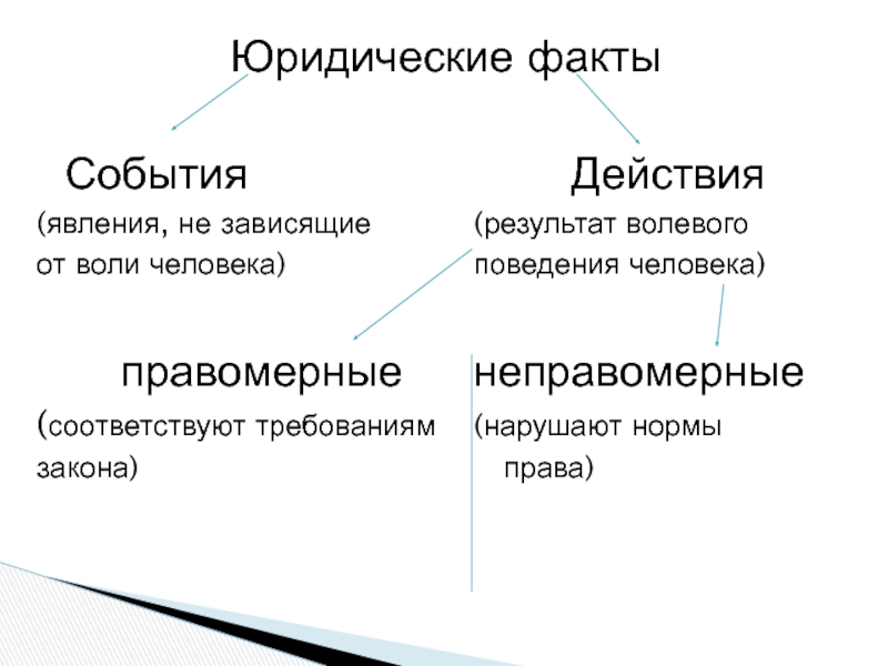 План юридические факты