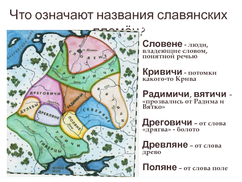 Кривичи карта расселения