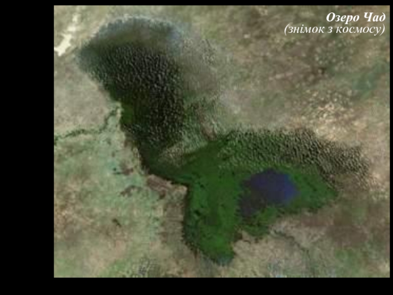 Озеро Чад (знімок з космосу)