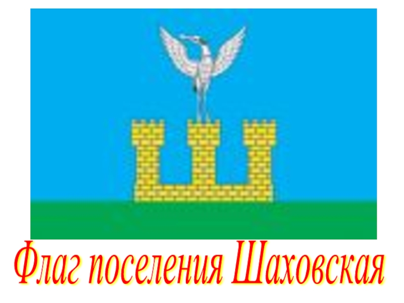 Флаг поселения Шаховская