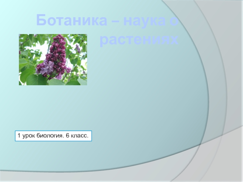 Презентация Ботаника – наука о растениях