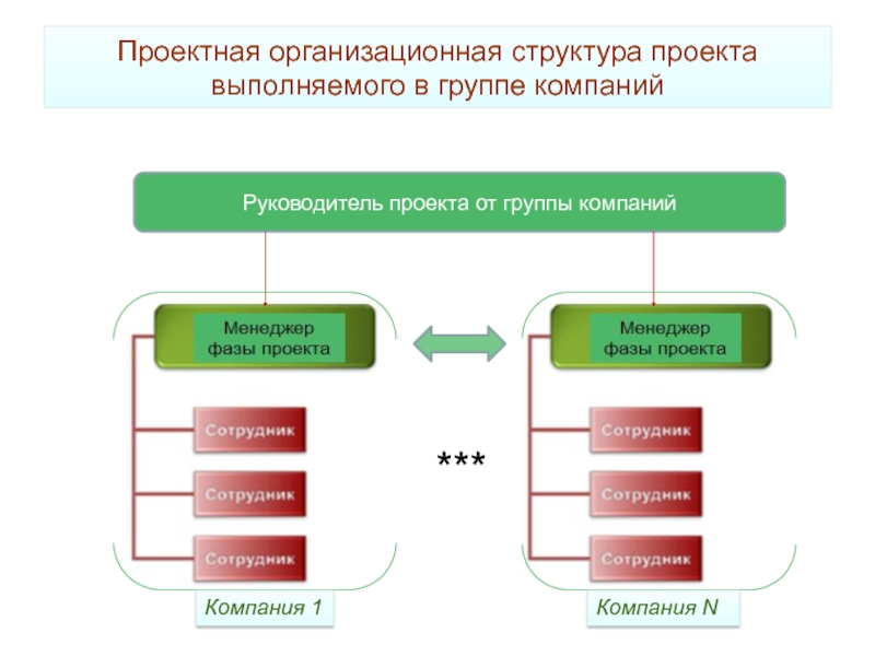 Проектная организационная структура проекта