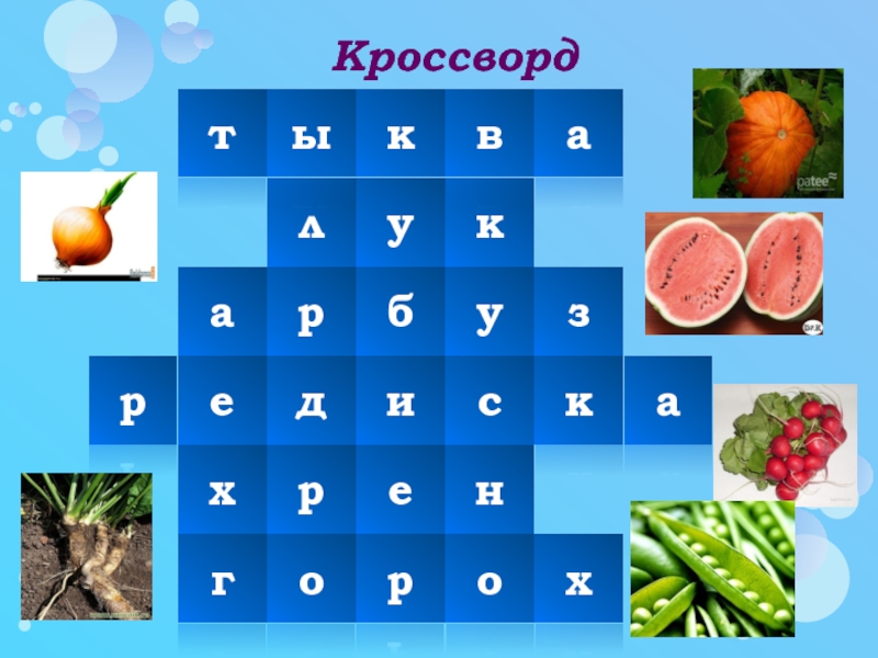 Кроссворды т