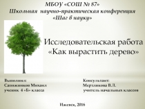 Исследовательская работа «Как вырастить дерево»