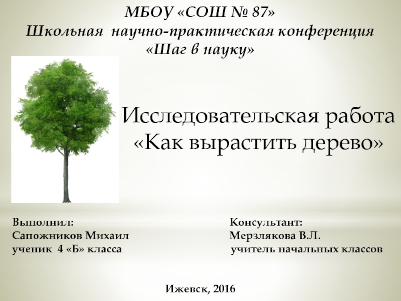 Презентация Исследовательская работа «Как вырастить дерево»