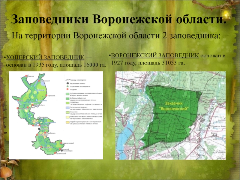 Проект на тему воронежский заповедник