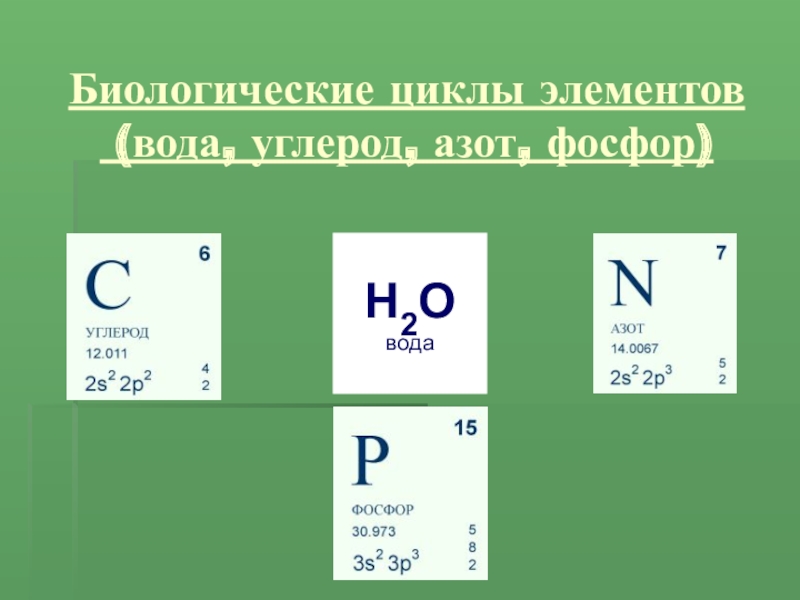 Формула кремния и серы. Углерод и азот. Фосфор и углерод. Углерод азот фосфор. Азот и фосфор.
