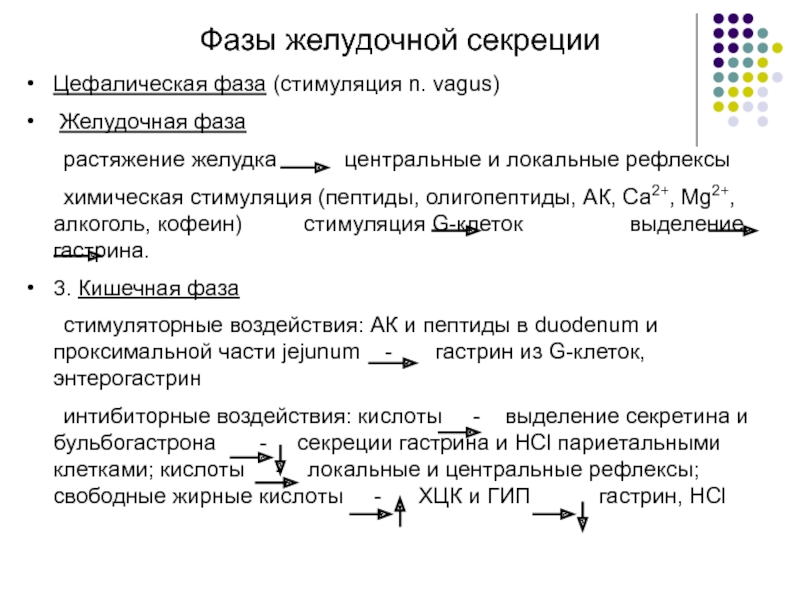 Желудочная фаза желудочной секреции схема