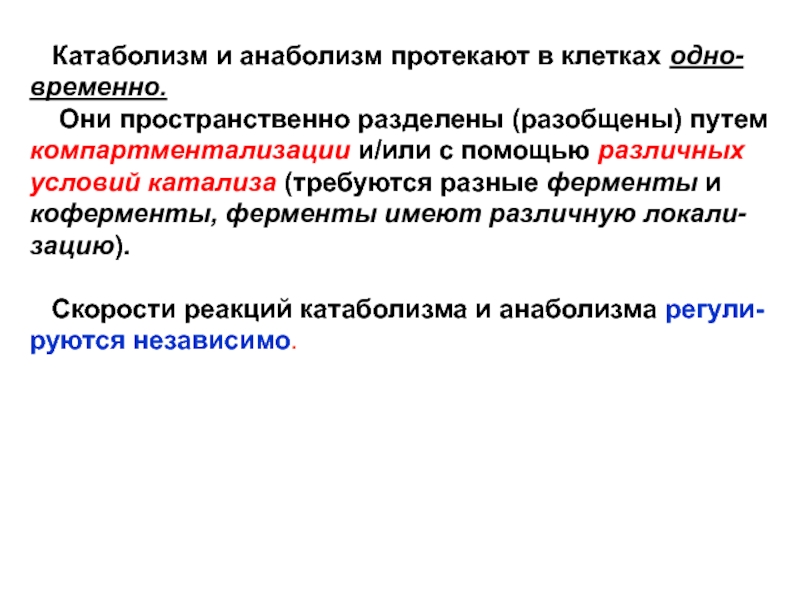 Компартментализация клетки презентация