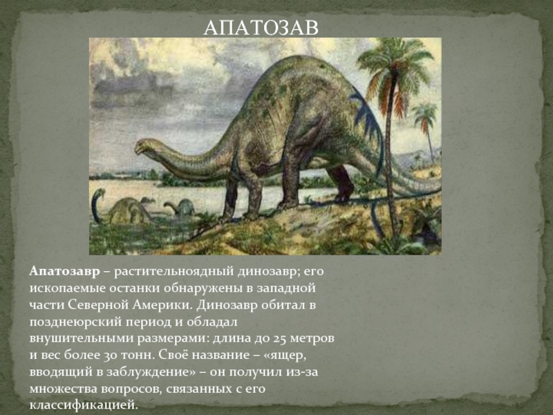 Апатозавр – растительноядный динозавр; его ископаемые останки обнаружены в западной части Северной Америки. Динозавр обитал в позднеюрский период