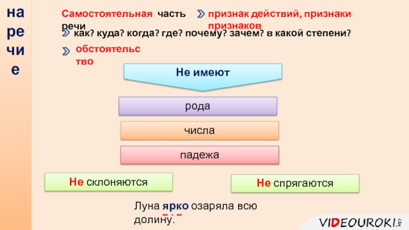 Морфология 10 класс