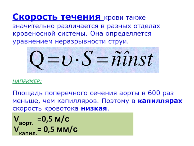 Также значительно. Скорость течения крови. Площадь поперечного сечения аорты. Скорость течения крови в аорте. Скорость кровотока уравнение неразрывности.