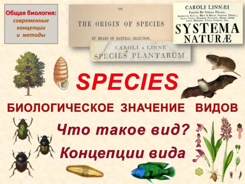 Биологическое значение видов