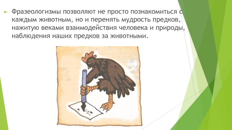 Проект по русскому языку 6 класс на тему фразеологизмы с названиями животных