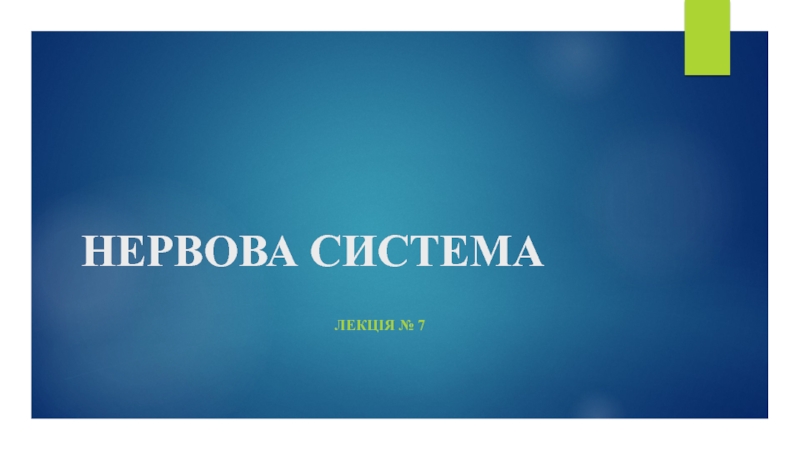 НЕРВОВА СИСТЕМА