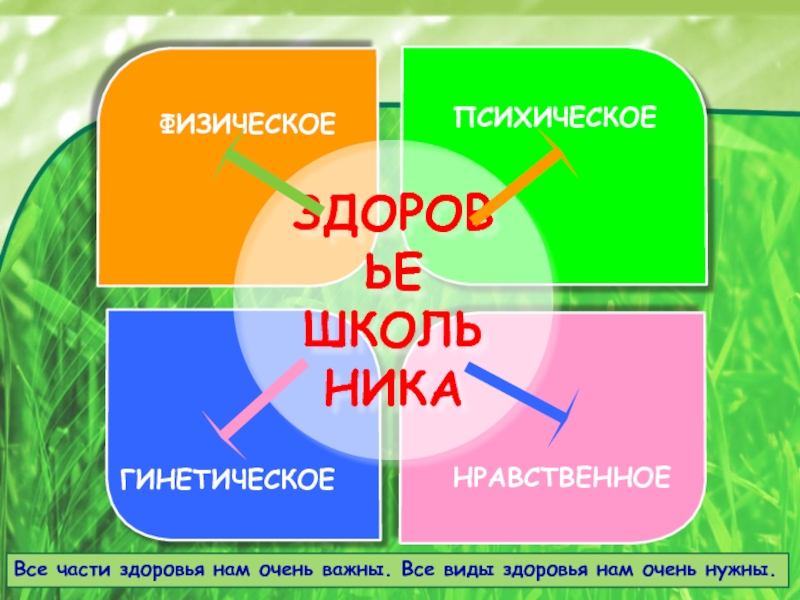 Здоровье части. Виды здоровья. Части здоровья. Здоровья нам.