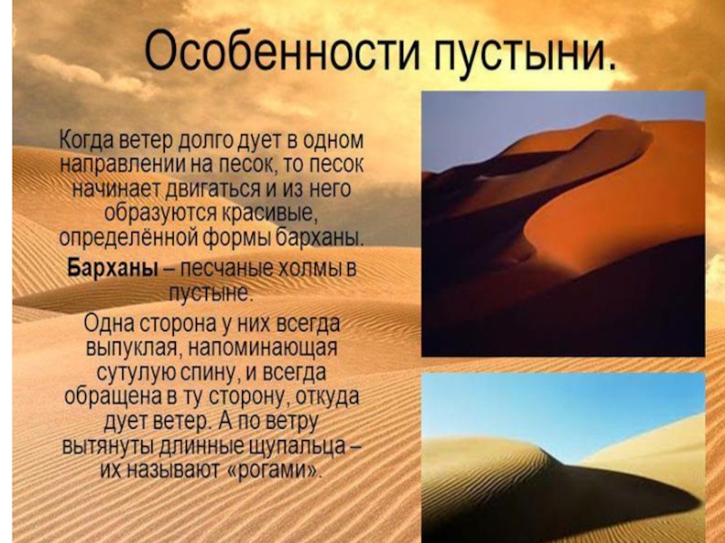 Характеристика пустыни. Пустыня особенности. Особенности пустынь. Пустыня описание.