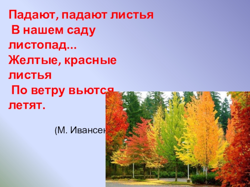 Лети лети лети лети листопадом. Ивенсен падают падают листья. Падают падают листья в нашем саду листопад желтые красные. Падают листочки в нашем саду листопад желтые. Па-да-ют па-да-ют листь-я.