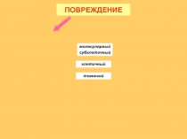 ПОВРЕЖДЕНИЕ