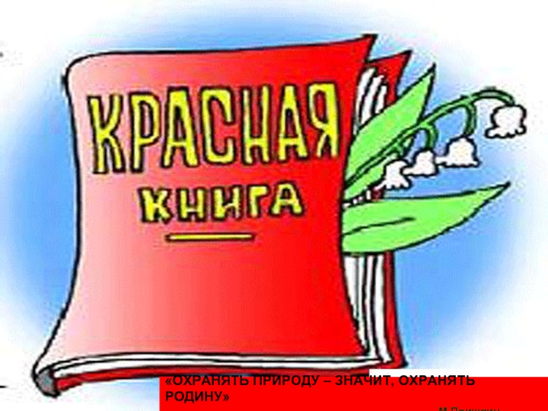 Растения Красной книги Республики Алтай