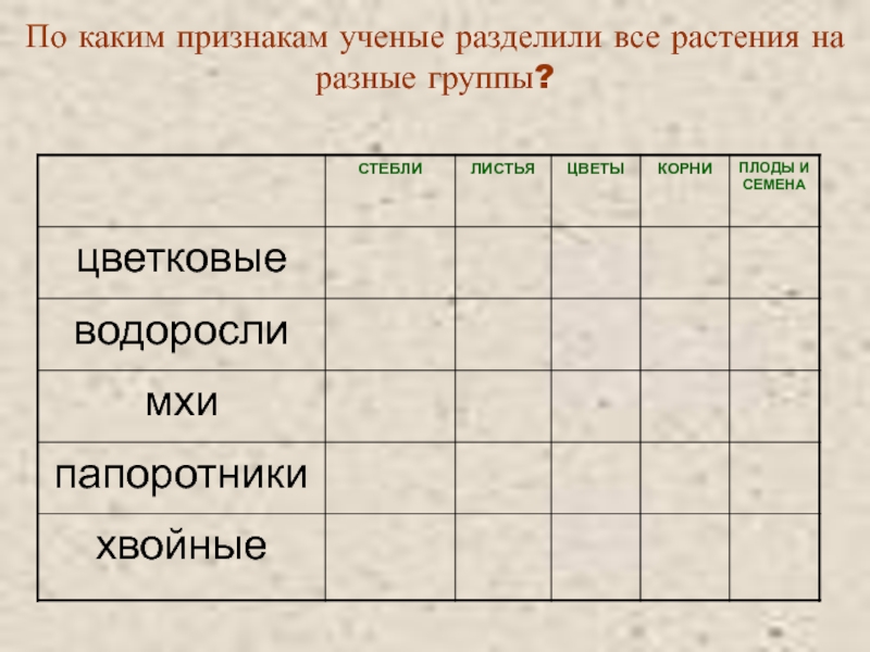 Признаки ученого. По каким признакам ученые разделили все растения на разные группы. На какие группы ученые делят растения. Какие какие группы ученые делят свойства растений. По каким признакам разделяют ученых.