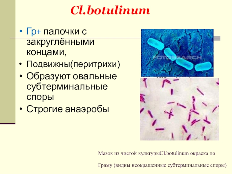 Грамм плюс палочки