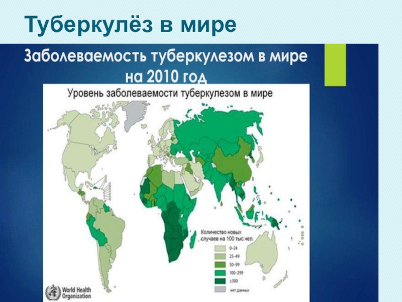 Туберкулёз в мире