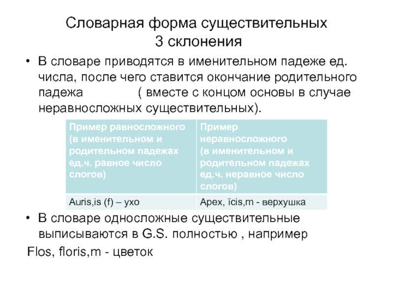 Стенка латынь словарная форма