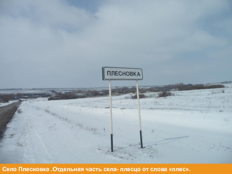 Части села. Плесновка Богучарский район. Плес Мокшанский район. Плес Мокшанский район Пензенская область. Село Плесновка Богучарский район история.