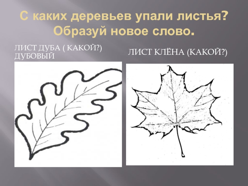 Вопрос к слову листьев. Слово лист. Листья клена и дуба. С каких деревьев падают листья. Листики дубовые листики кленовые слова.