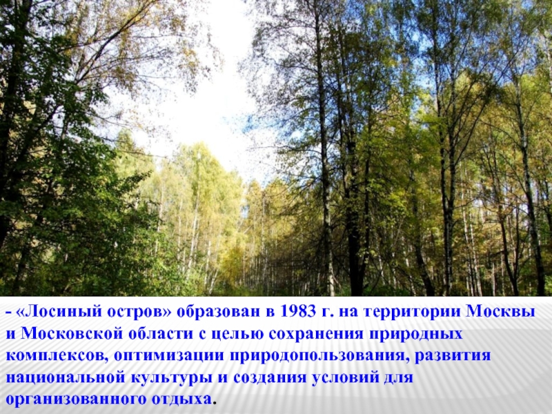 Природный комплекс парк. Проект национальный парк Лосиный остров. Национальный парк Лосиный остров рассказ. Заповедник в Московской области Лосиный остров. Национальный парк Лосиный остров доклад.