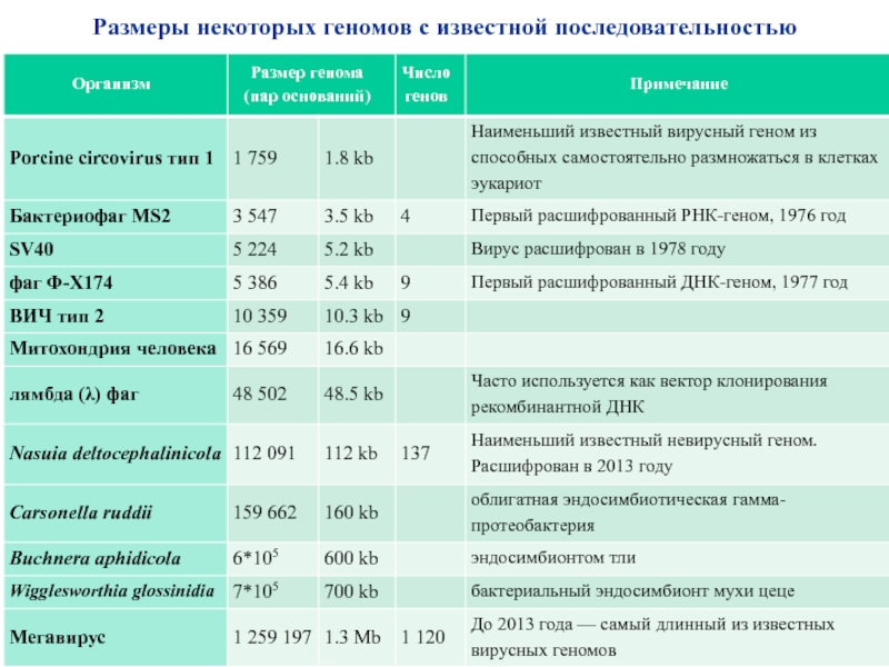 Известные последовательности. ЦТСНВ-1 расшифровка. ГСП-н1 расшифровка. Лэдген-расшифровка.