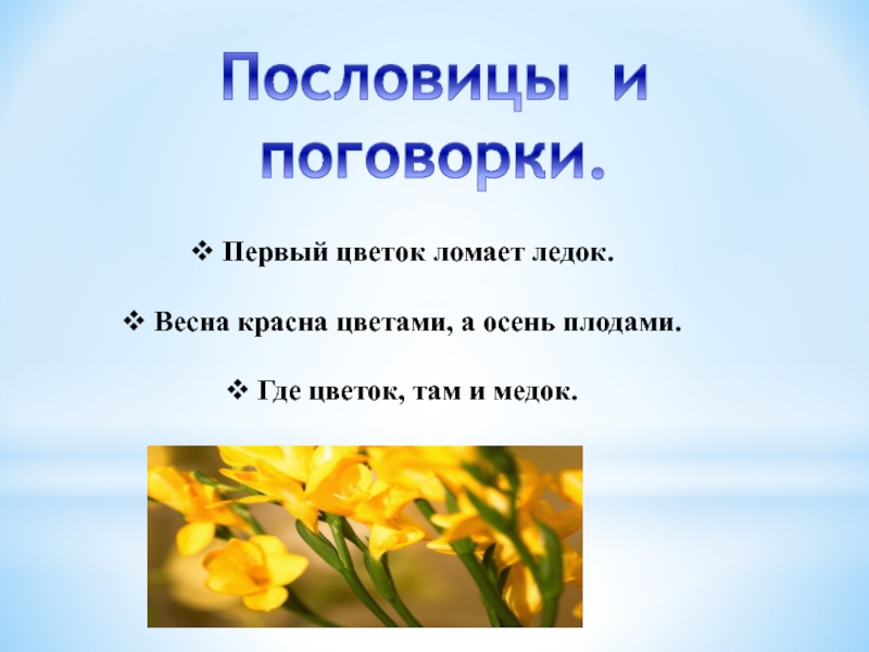 Тип текста цветок на земле. Пословицы и поговорки про цветы. Пословицы и поговорки отцветах. Пословицы и поговорки о растениях. Пословицы про цветы.