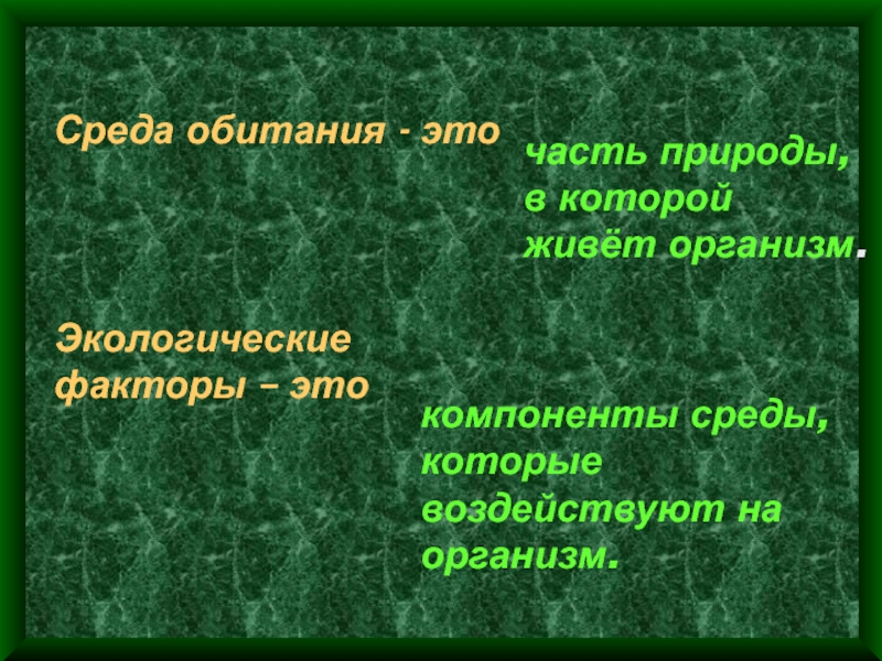 Экологическая классификация организмов презентация